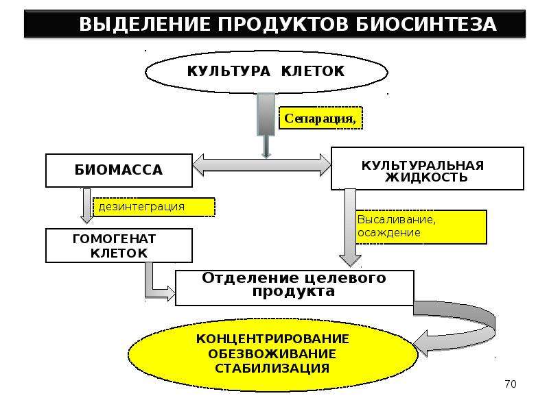 Общая схема биотехнологического производства