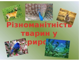 РІЗНОМАНІТНІСТЬ ТВАРИН
