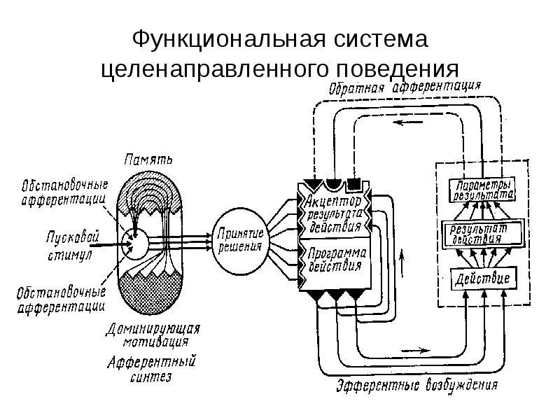 Функционально поведенческий