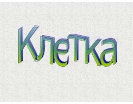 Органоиды клетки