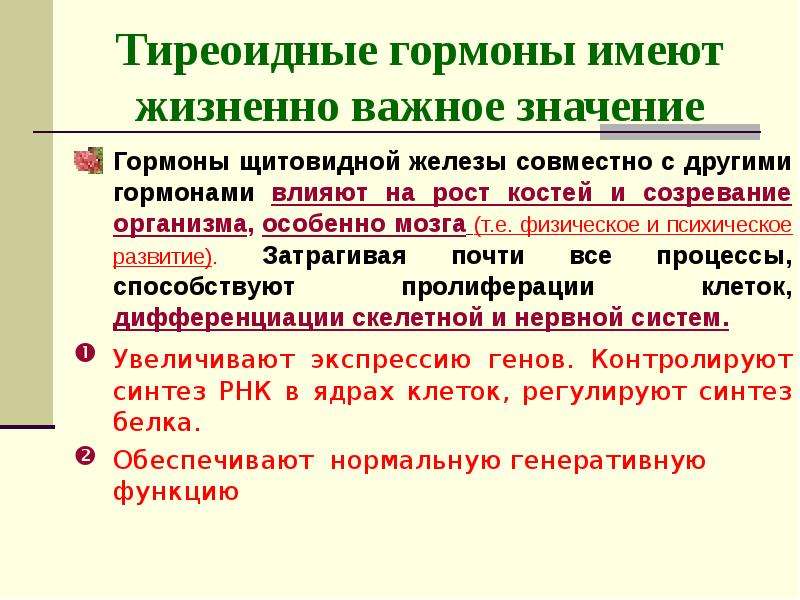 Определение тиреоидного гормона. Влияние гормонов щитовидной железы. Основные эффекты гормонов щитовидной железы. Тиреоидные гормоны. Роль тиреоидных гормонов.