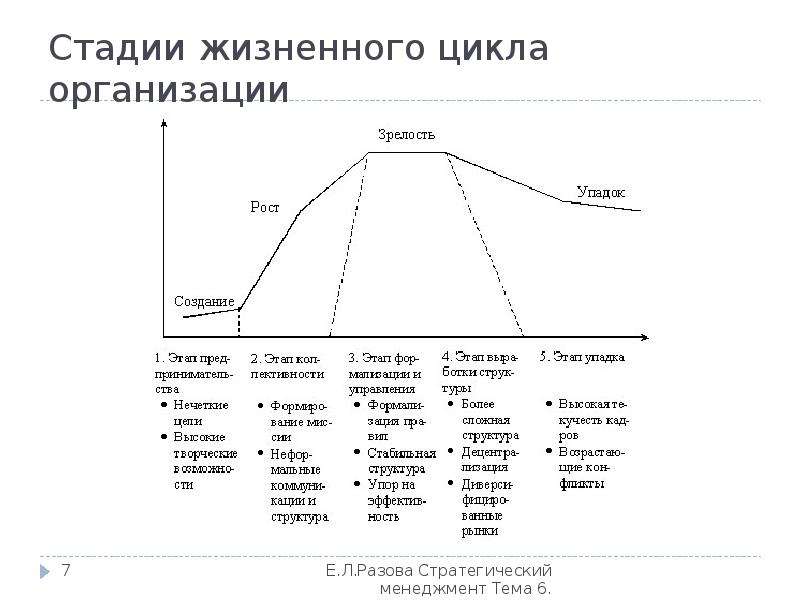 Стадии жизненного цикла организации