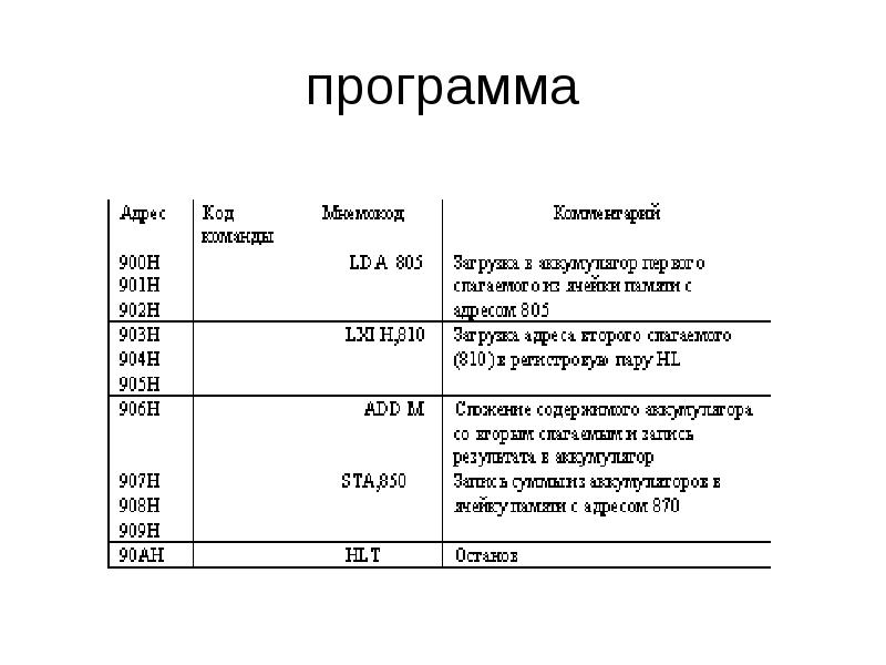 Команда программы содержит