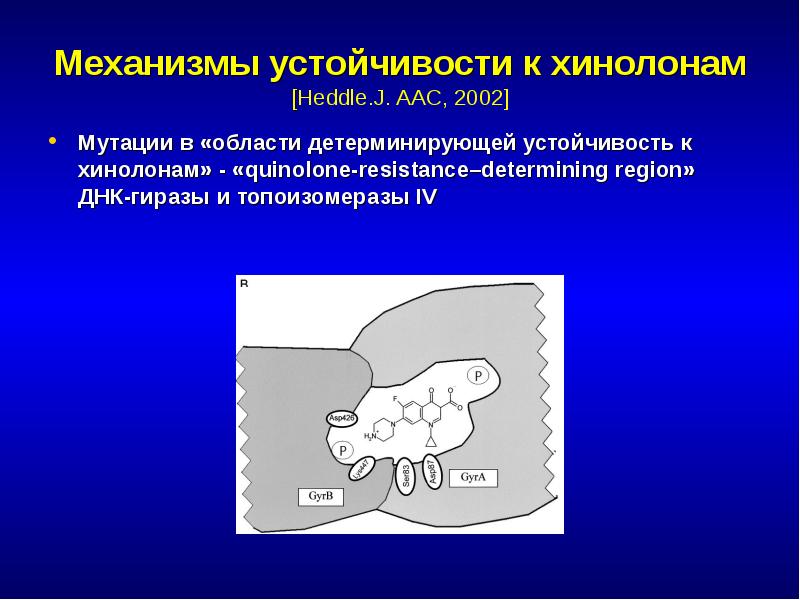 Проект антибиотики спасение человечества