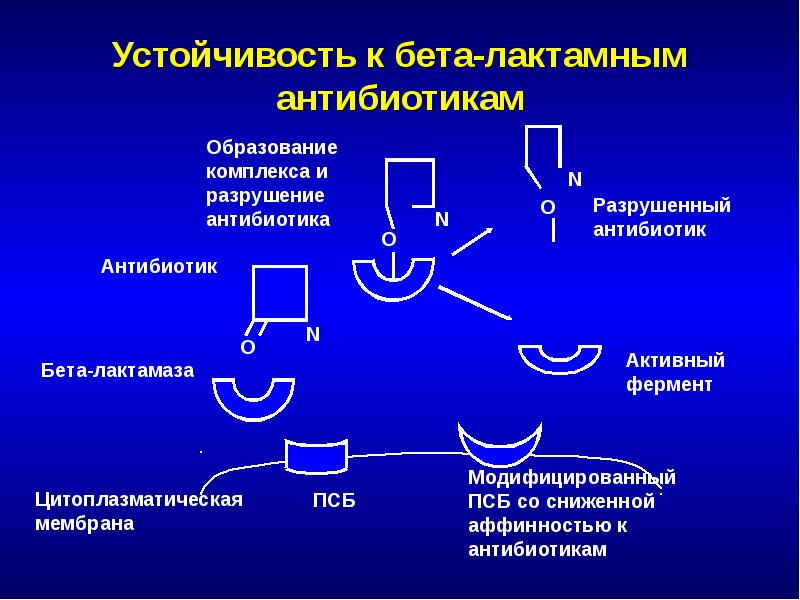 Бета лактамные антибиотики список