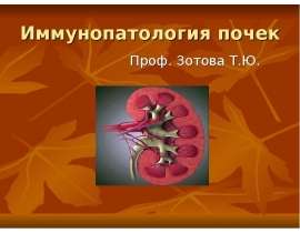 лекция почки ип2010 - правка1.ppt