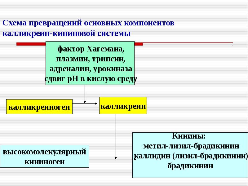 Калликреин кининовая система схема