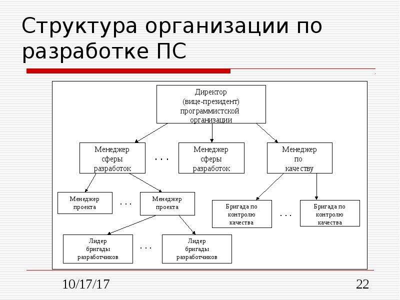 Организационная структура проекта по разработке по