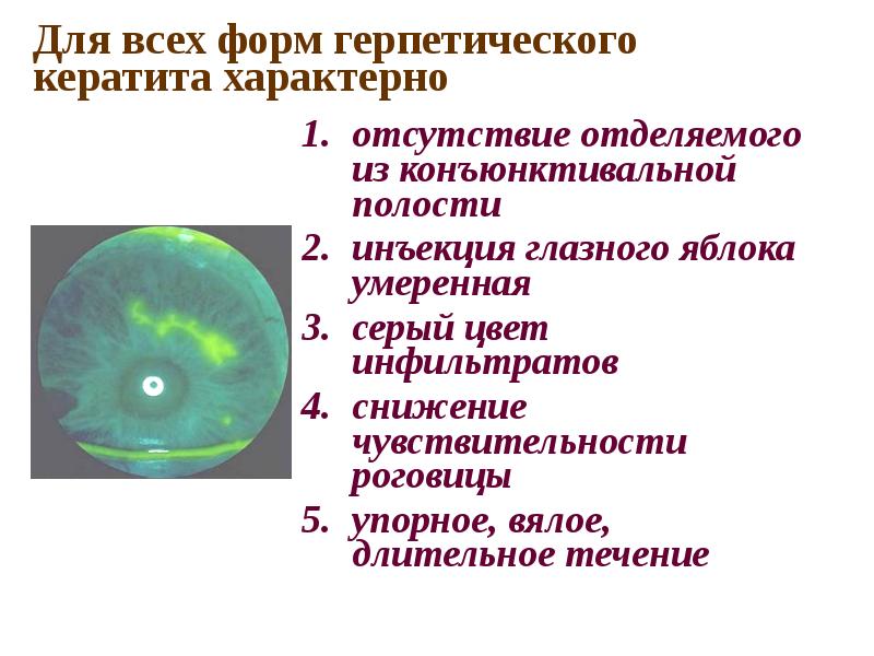 Роговица регенерация