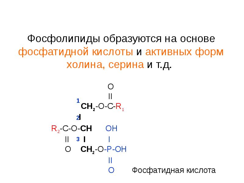 Схема образования фосфатидной кислоты содержащей остатки арахиновой и олеиновой кислот