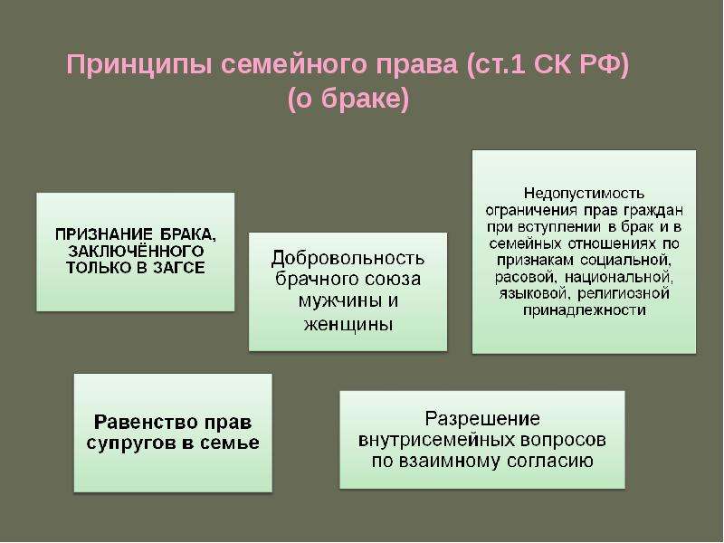 Понятие и принципы семейного права презентация