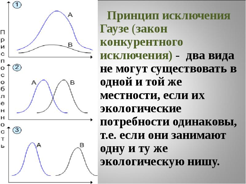 Принцип исключения. Закон Гаузе экология. Принцип конкурентного исключения Гаузе. Правило конкурентного исключения Гаузе. Закон конкурентного исключения Гаузе.