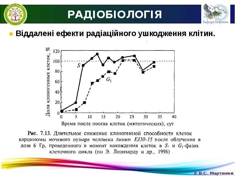 Презентации по радиобиологии