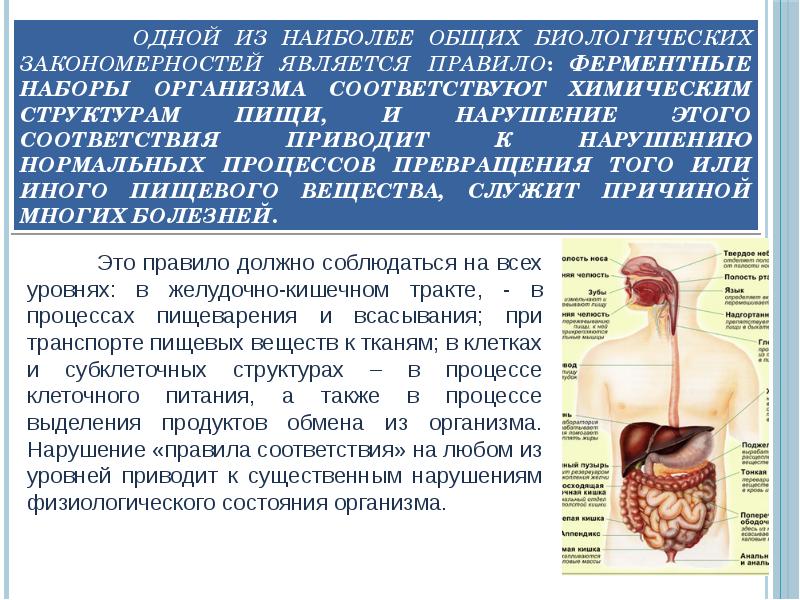 Организм не может функционировать огэ