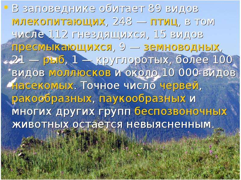 Заповедник презентация. Романовский заповедник презентация. Бузинский заповедник проэкт.