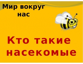 Мир вокруг нас Кто такие насекомые