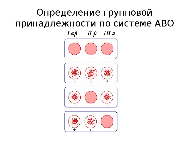 Группа крови агглютинация картинки