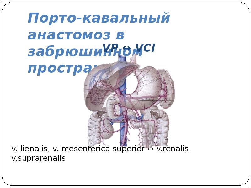 Порто-кавальный анастомоз. Мезентерико кавальный анастомоз по Крестовскому. Порто портальные анастомозы на УЗИ.