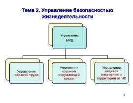 Управление БЖД