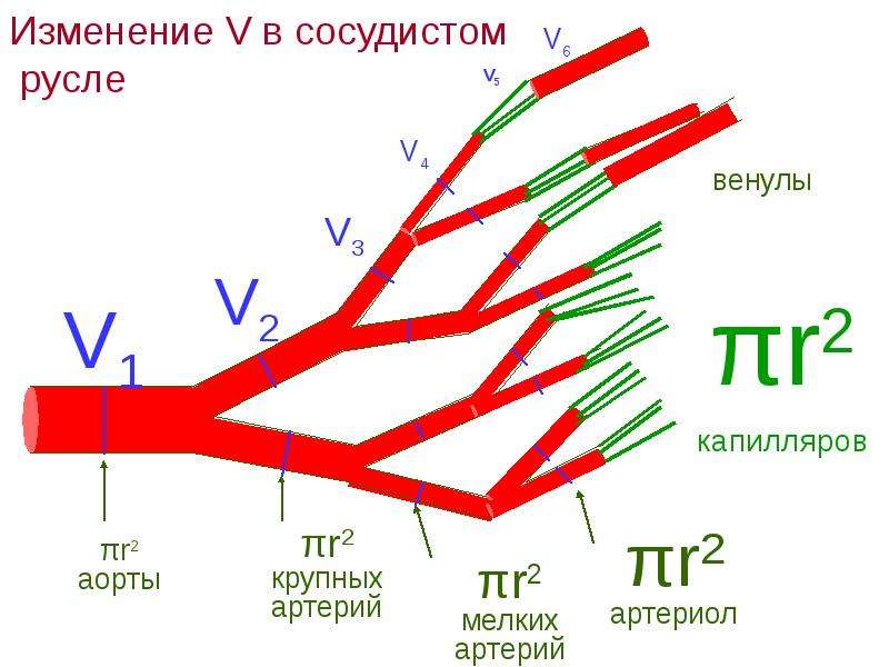 Погода истереккасы карта