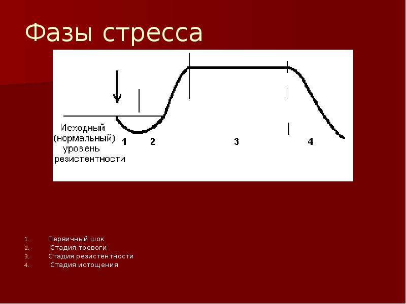 Фазы стресса