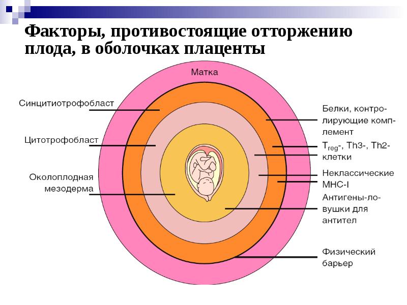 Мультифакториальные заболевания презентация