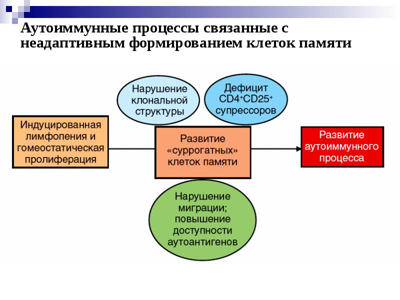 Аутоиммунные заболевания презентация иммунология