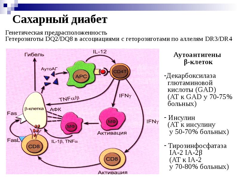 Аутоиммунные заболевания диагностика и лечение руководство для врачей москалев а в