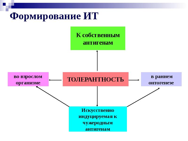 Иммунологическая толерантность