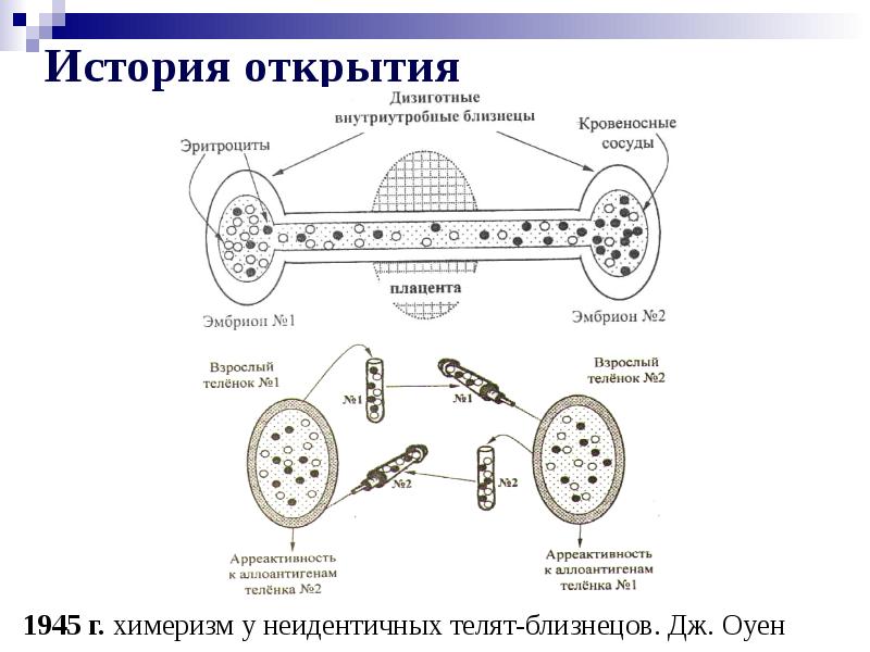 Аутоиммунные заболевания диагностика и лечение руководство для врачей москалев а в