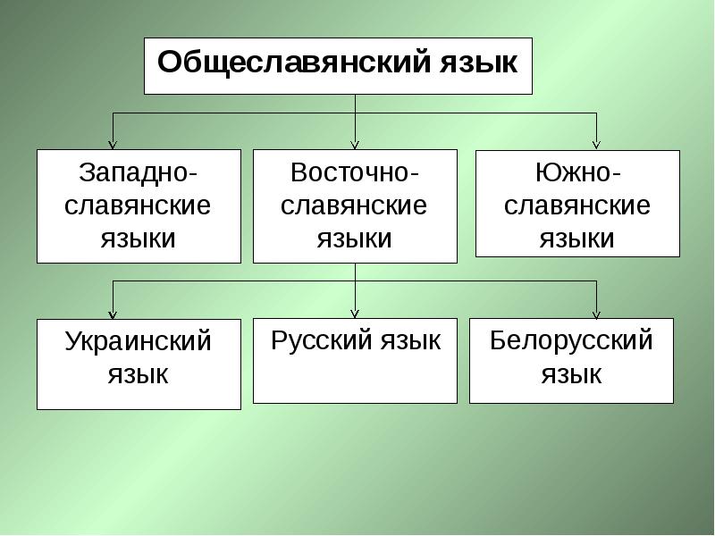 Западнославянские языки презентация