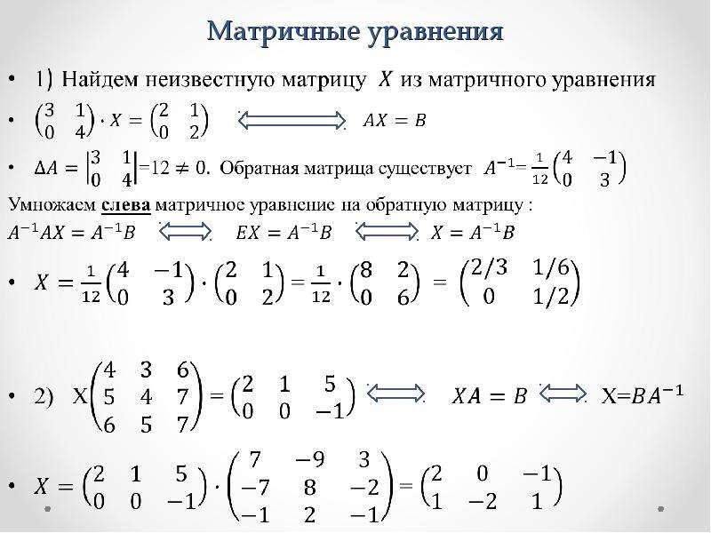 Алгебраические уравнения высших степеней проект