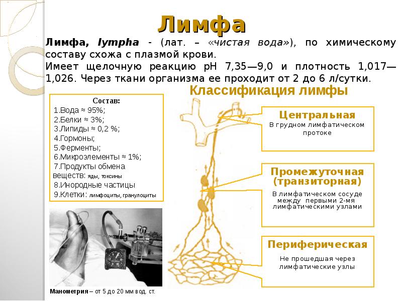 Лимфа объем. Состав лимфы схема. Лимфа ее состав. Лимфа это кратко. Лимфа и ее функции.