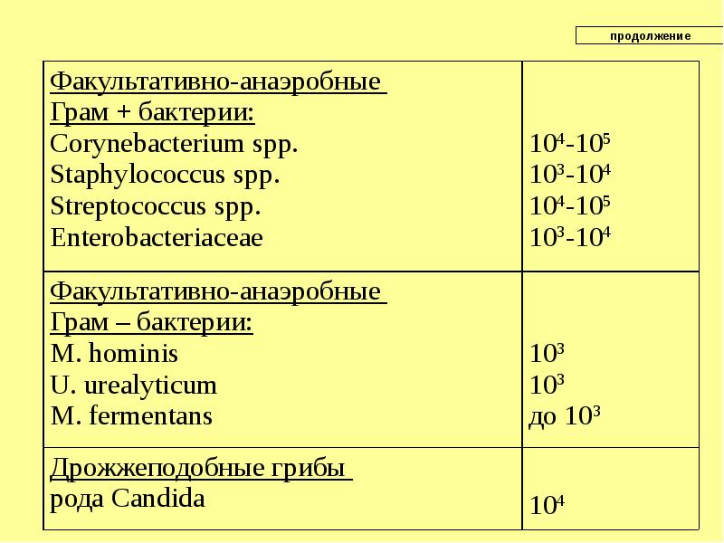 Анаэробные условно патогенные