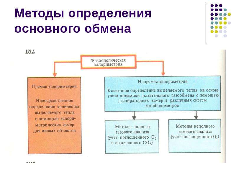 Физиология обмен веществ презентация