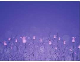 NightFlowers