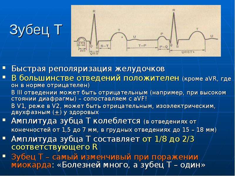 Физические основы электрокардиографии презентация