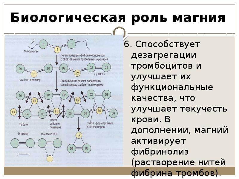 Цинк фосфатные цементы презентация