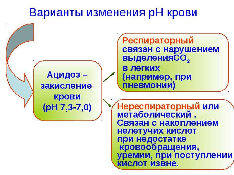 Варианты изменения. Характеристика проб внутренней среды организма. PH крови при гиповентиляции. Кислоты и основания внутренней среды организма. Особенности внутренней среды новорожденных.