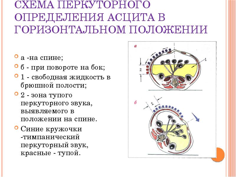 План обследования больного с желудочно кишечным кровотечением