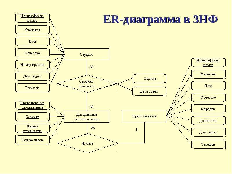 ER-диаграмма в 3НФ