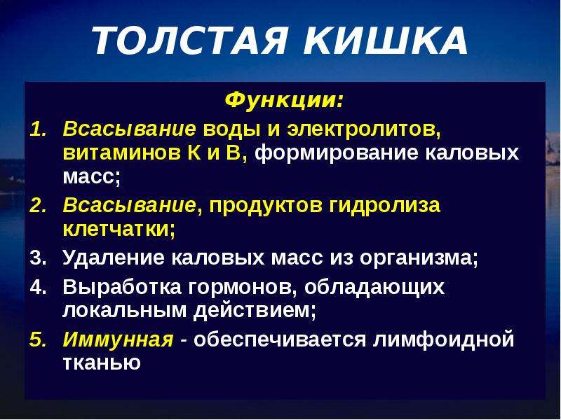 Толстый кишечник функции. Функции тоствогокишечника. Функции толстой кишки.