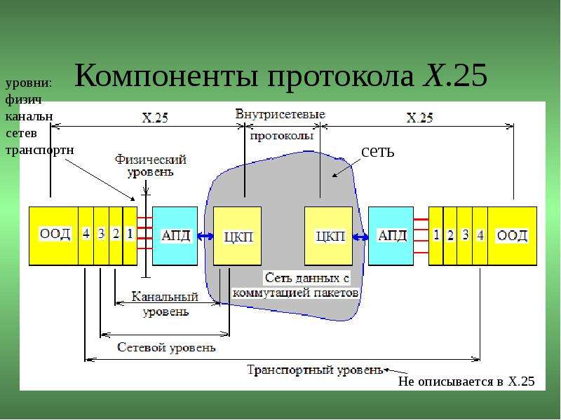 X 25 презентация