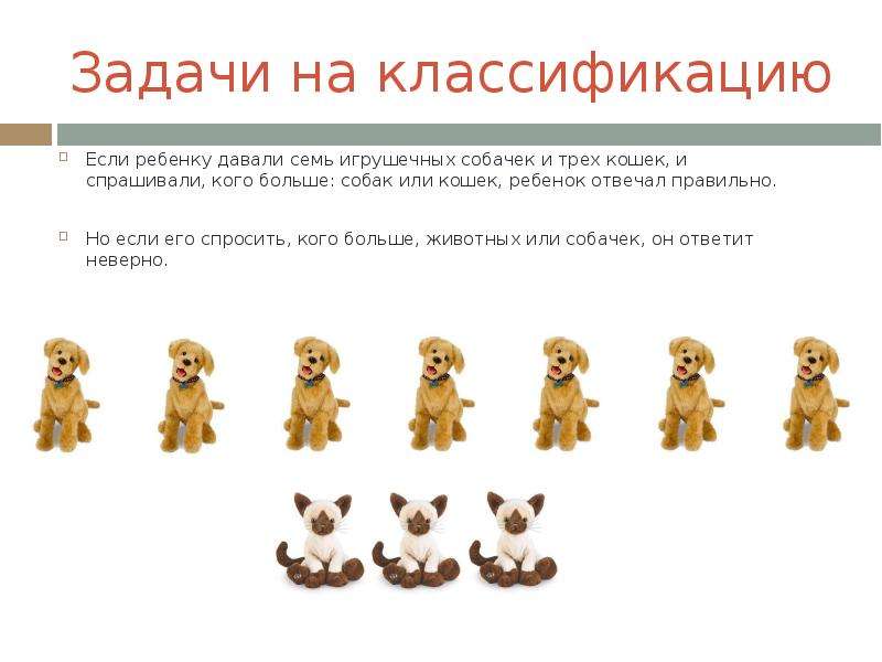 Классификация животных для своих одноклассников