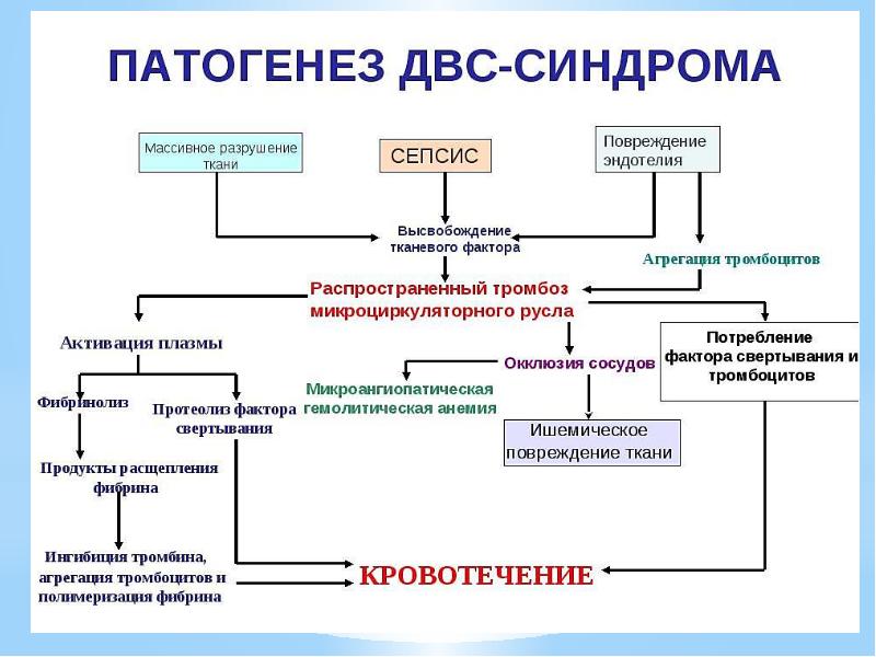 Лекция по теме Кровотечения, ДВС-синдром 