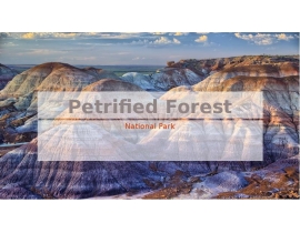 Petrified Forest