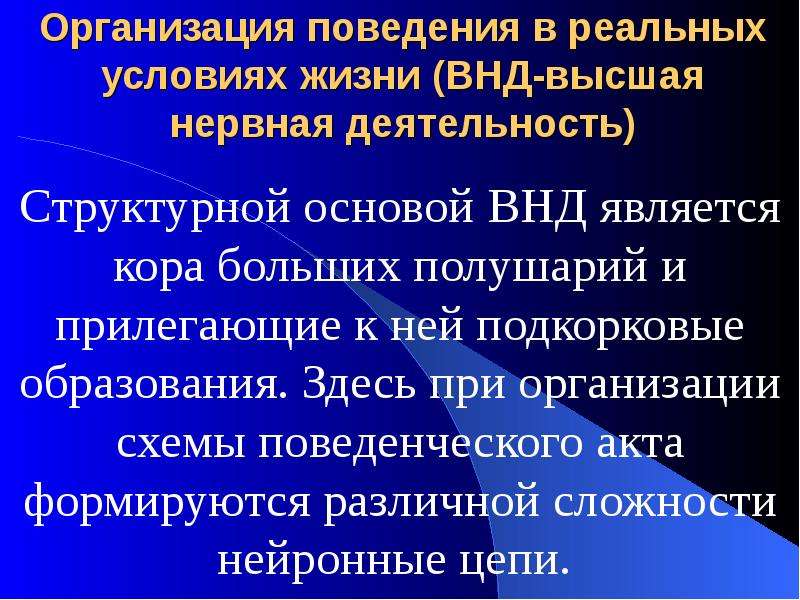 Реальное условие. Структурной основой ВНД является. Структурная основа высшей нервной деятельности. Реальный ВНД это. Высший уровень организации поведения.