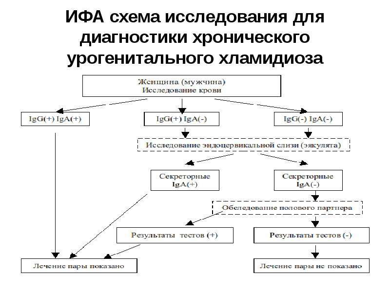 Соломаха серебрякова схема обследования