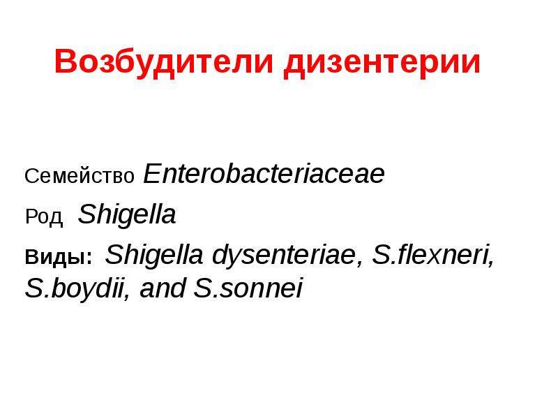 Презентация Возбудители дизентерии Семейство Enterobacteriaceae