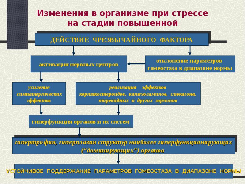 Комплексная оценка общего адаптационного синдрома у детей презентация